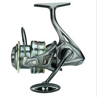 Match Orsó/Feeder Orsó